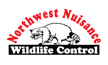 Northwest Nuisance Control